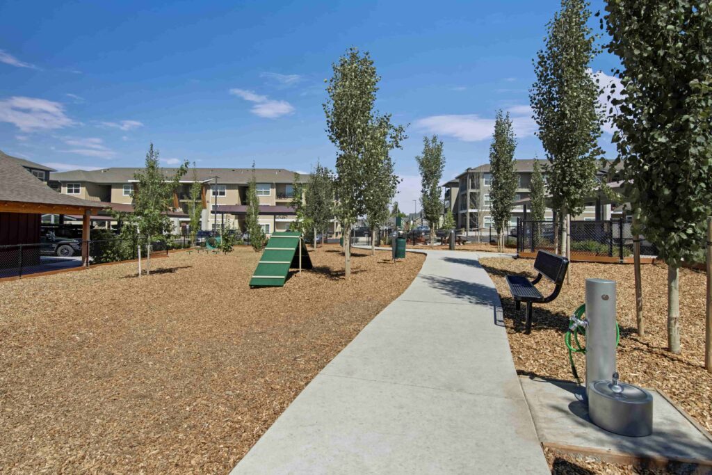 Dog park with concrete walkway, bench, water fountain,