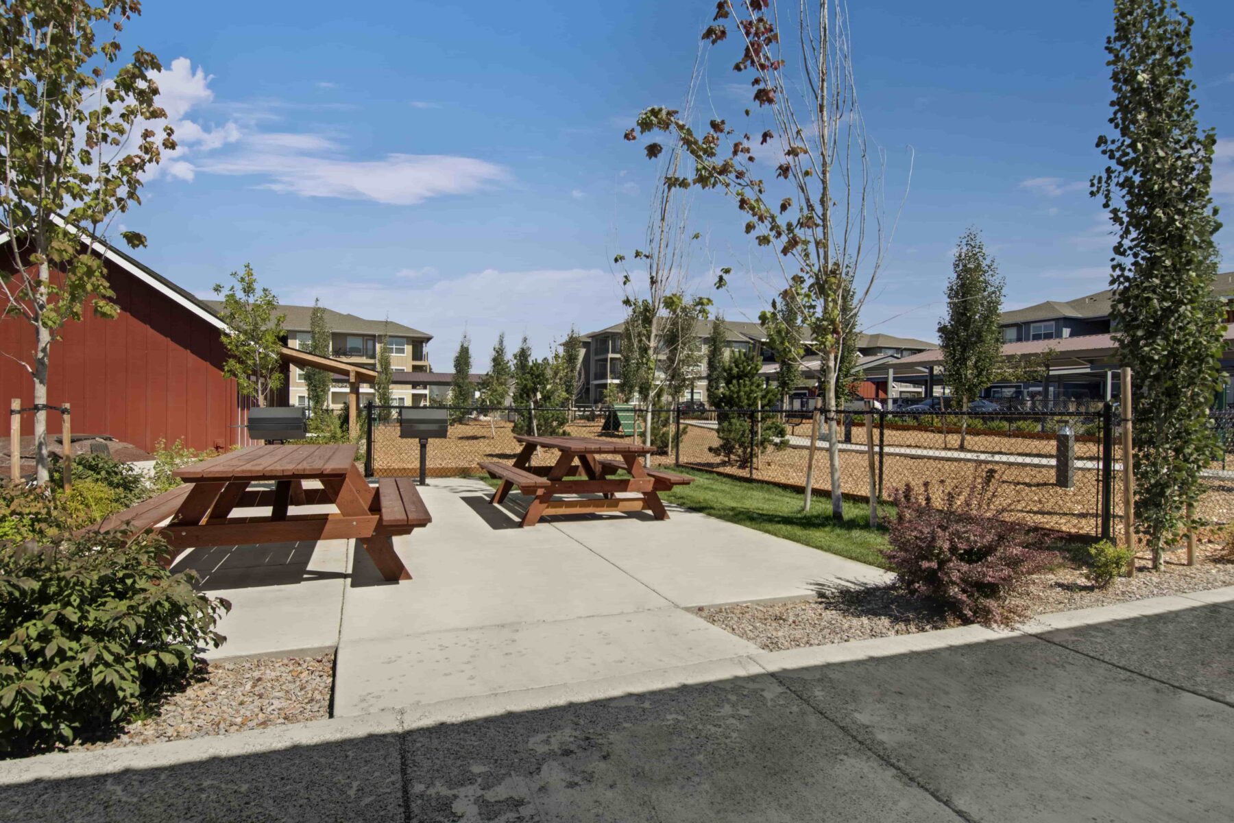 A sunny outdoor area with picnic tables and trees, located beside dog park with houses in the background.
